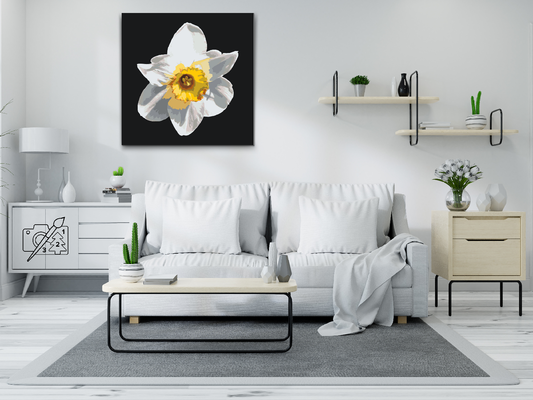 Paint by number - Narcissusblomst