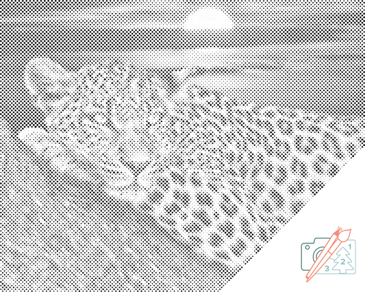 Dotting - Leopard ved solnedgang