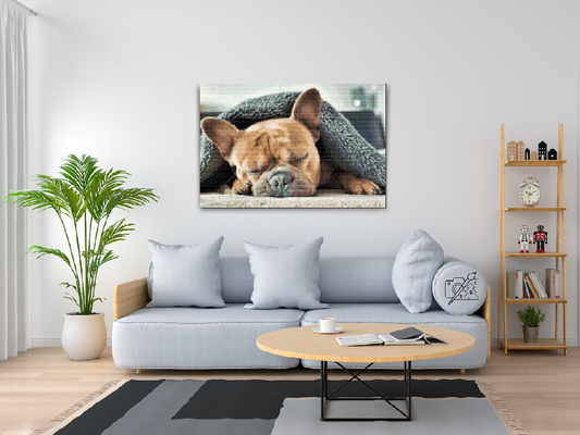 Diamond Paint - Træt Bulldog