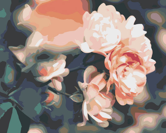 Paint by number - Roser