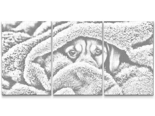 Dotting - Puppy Eyes (sæt af 3)