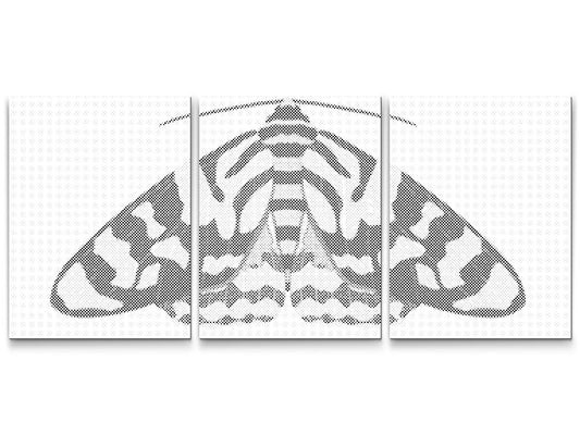 Dotting - Farverig natsværmer (sæt af 3)