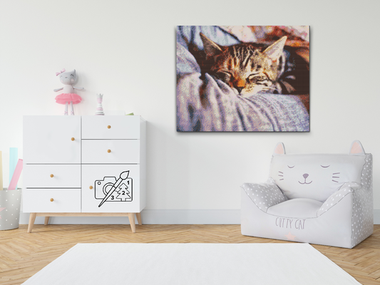Diamond Paint - Sleeping Kitty