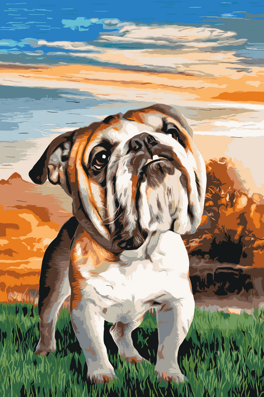 Paint by number - Engelsk bulldog i haven