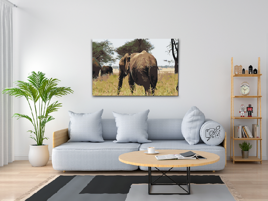 Paint by number - Serengeti Nationalpark