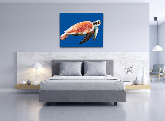 Paint by number - Havskildpadde