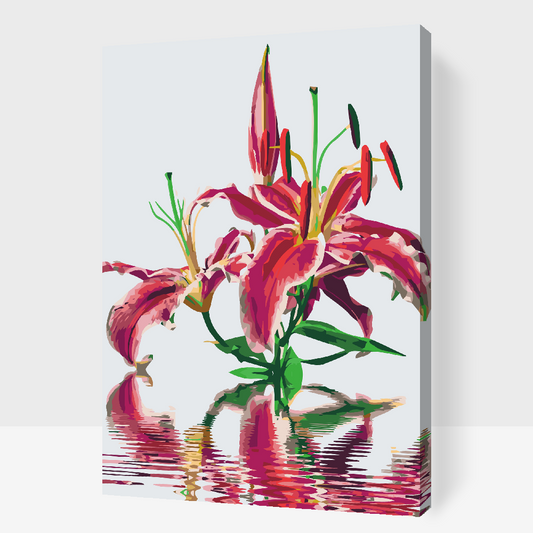 Paint by number - Pink Lily