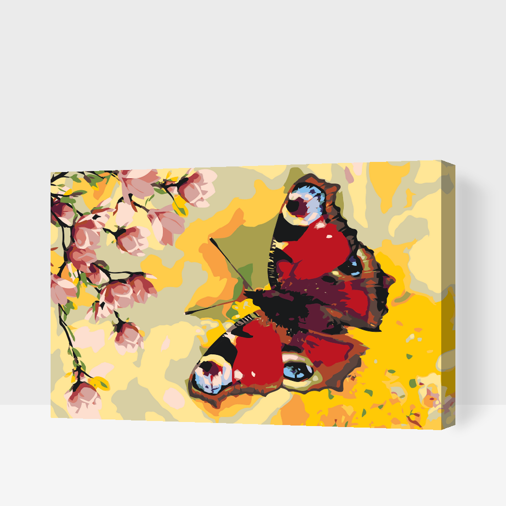 Paint by number - Påfugløje-sommerfugl
