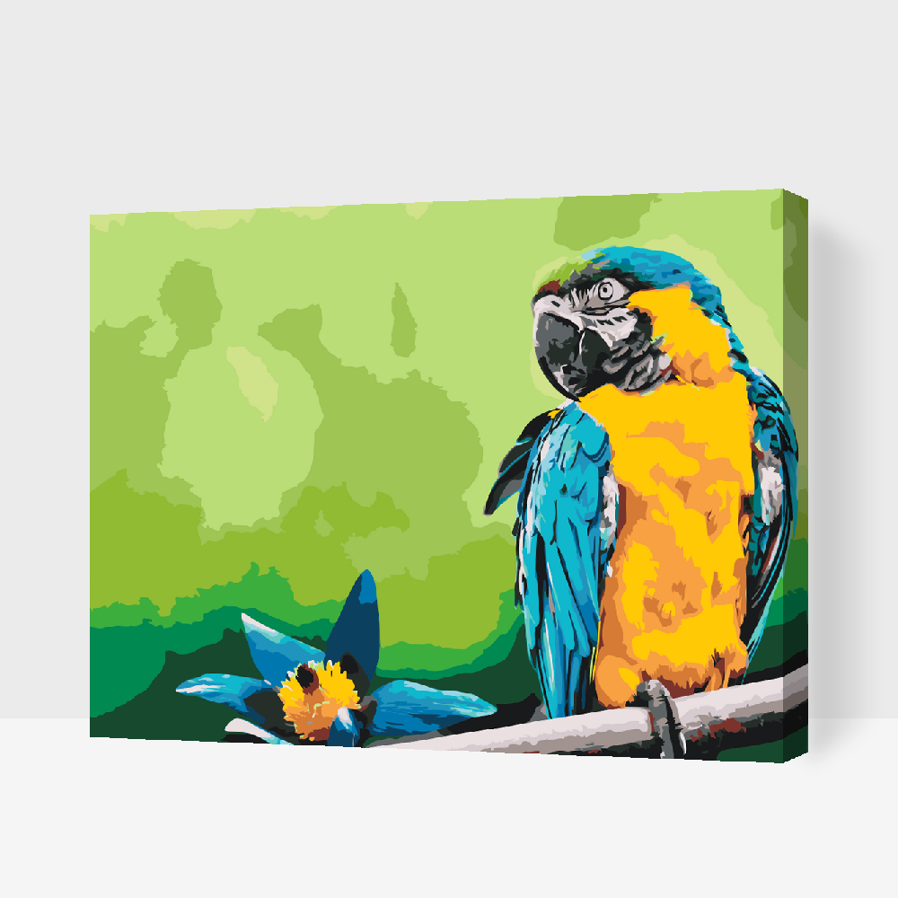 Paint by number - Papegøje og blomst