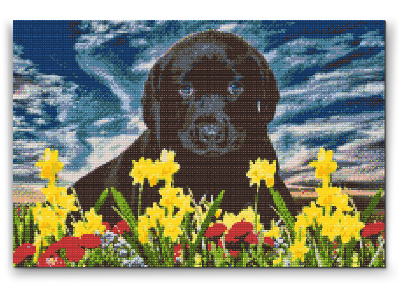 Diamond Paint - Labrador Puppy
