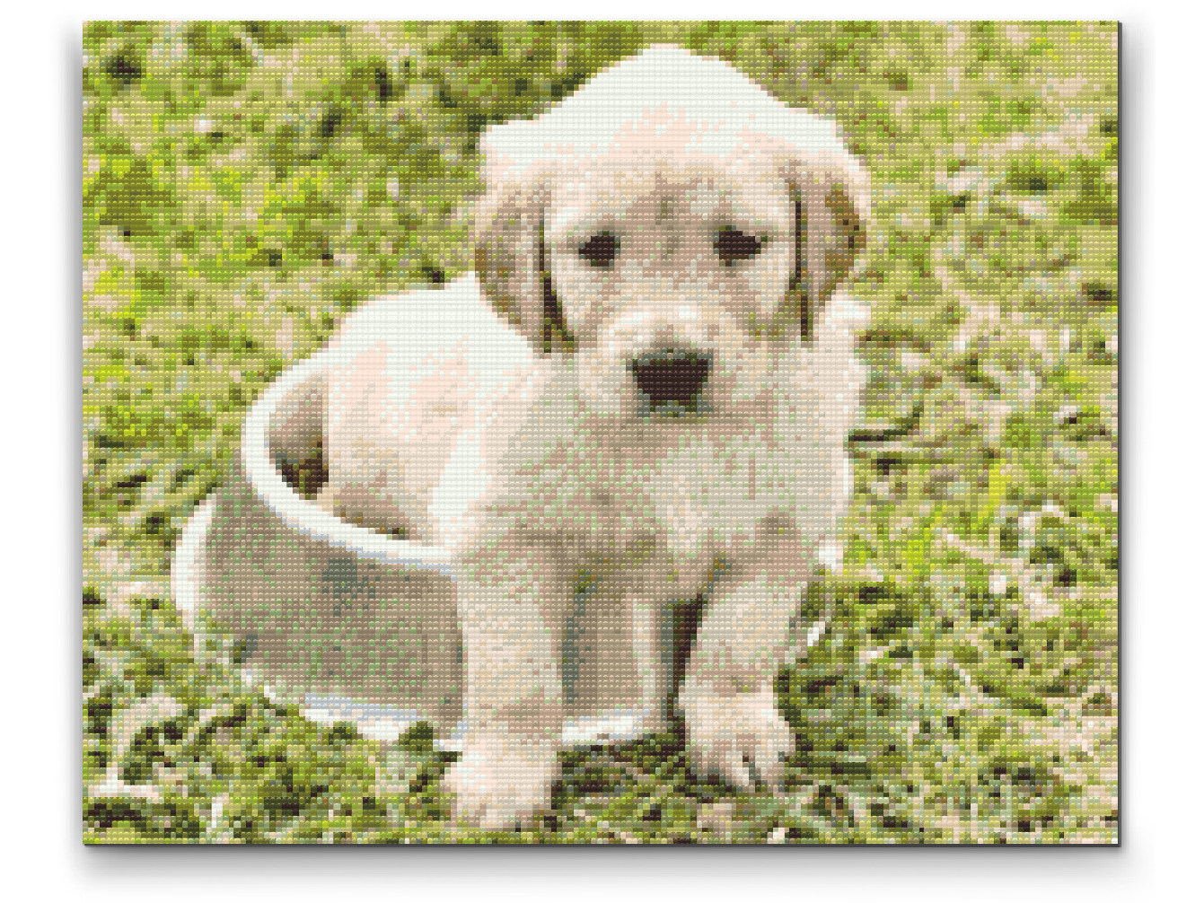 Diamond Paint - Labrador i Bowl