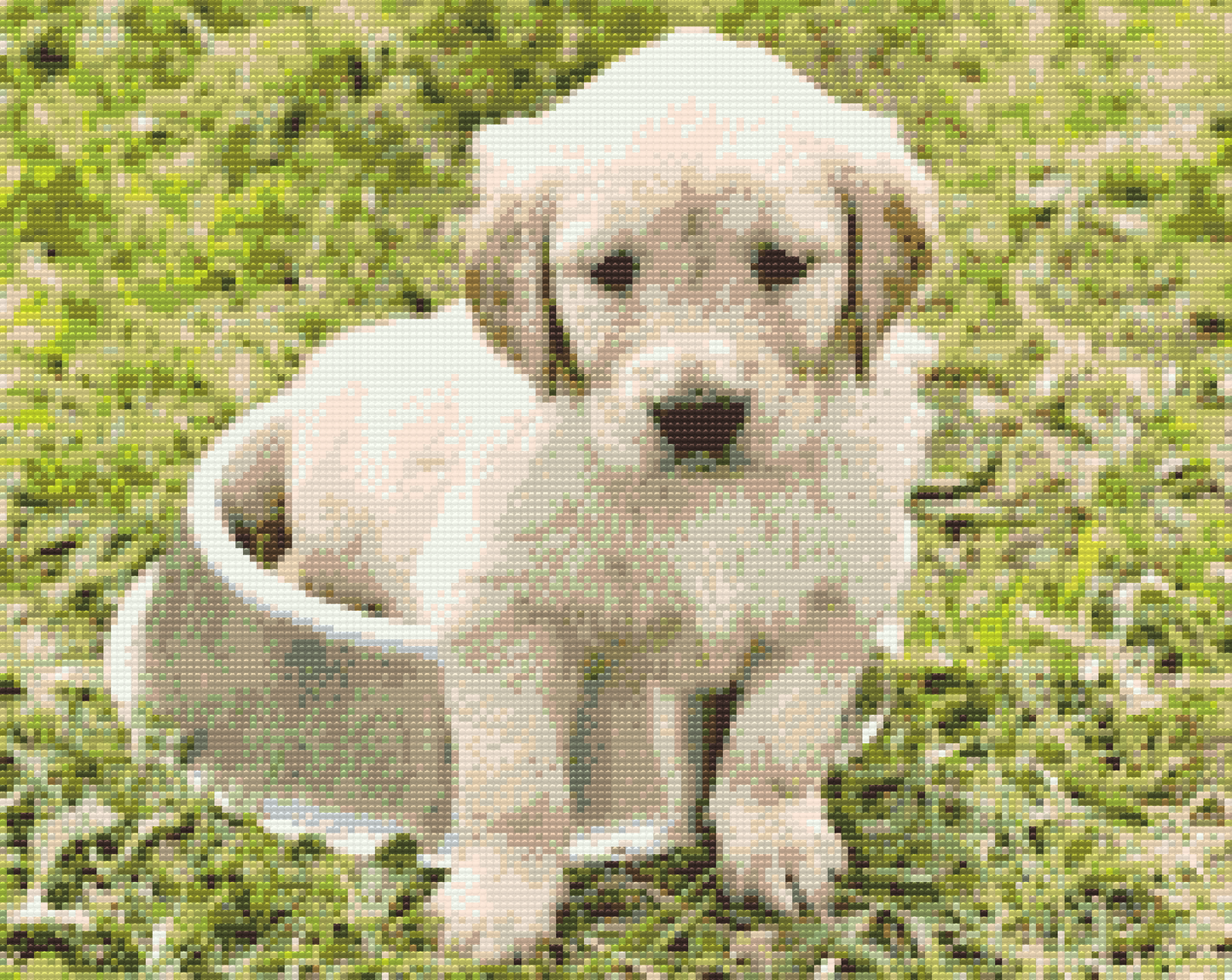 Diamond Paint - Labrador i Bowl