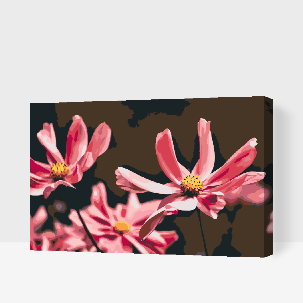 Paint by number - Pink Flowers