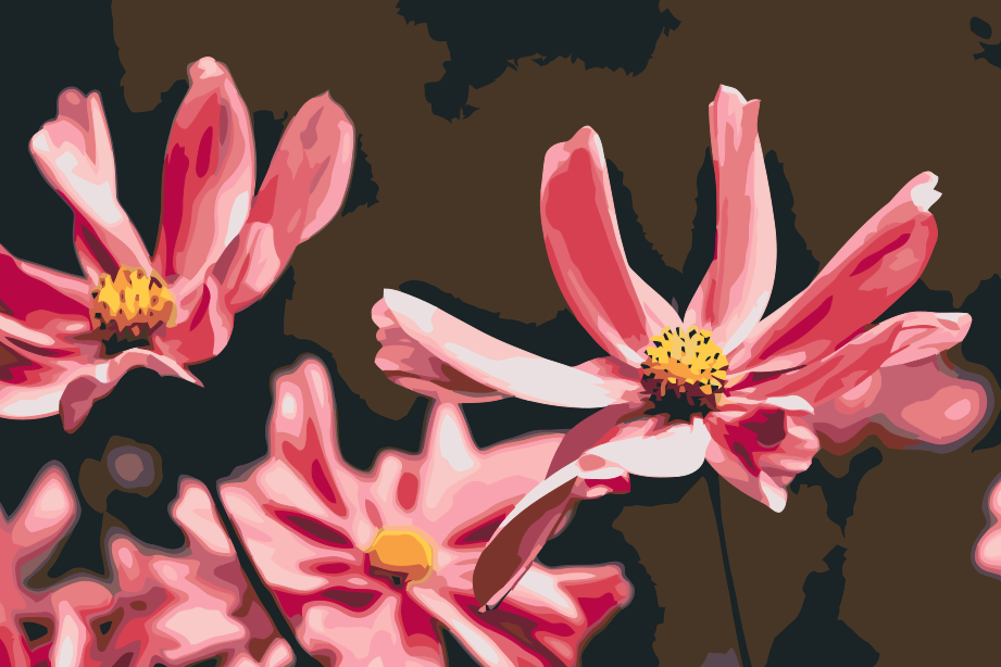 Paint by number - Pink Flowers