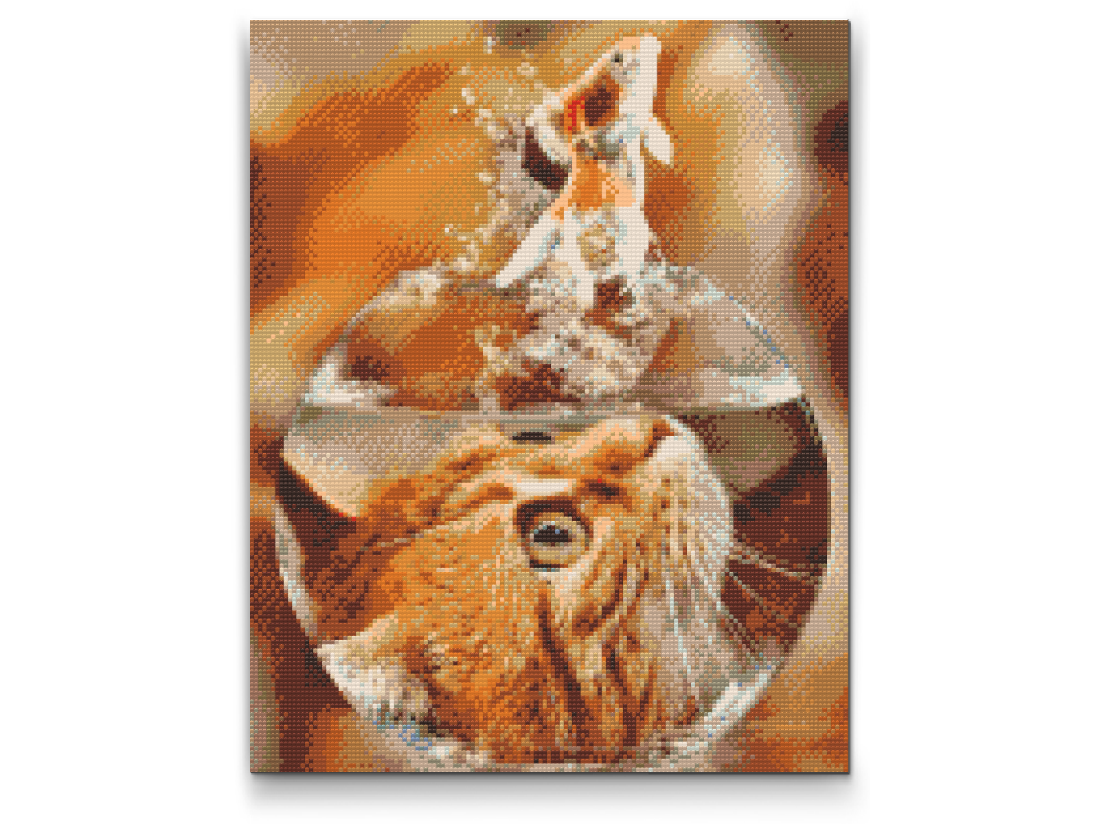 Diamond Paint - Cats View af en guldfisk