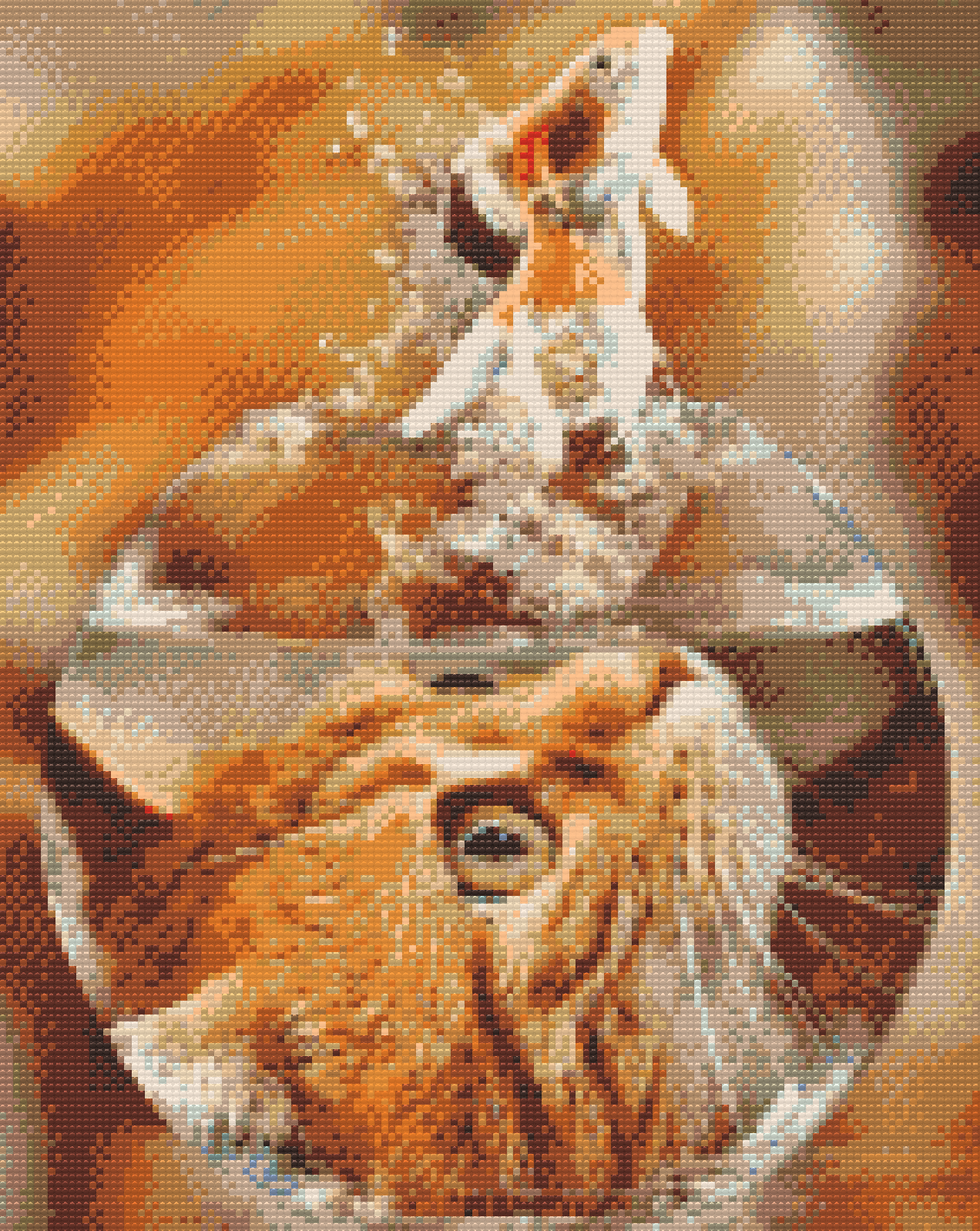 Diamond Paint - Cats View af en guldfisk