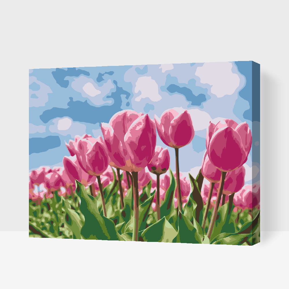 Paint by number - Lyserøde tulipaner