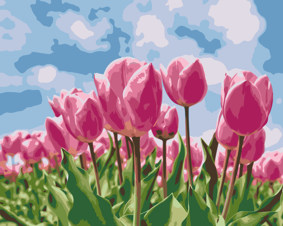 Paint by number - Lyserøde tulipaner