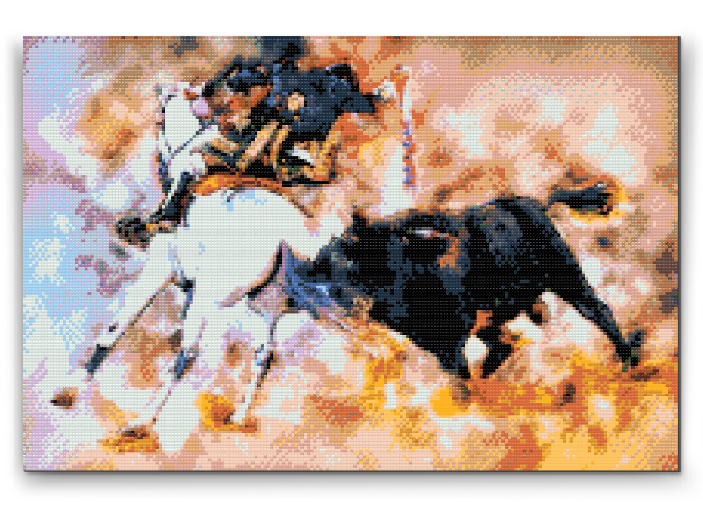 Diamond Paint - Tyrefægtning