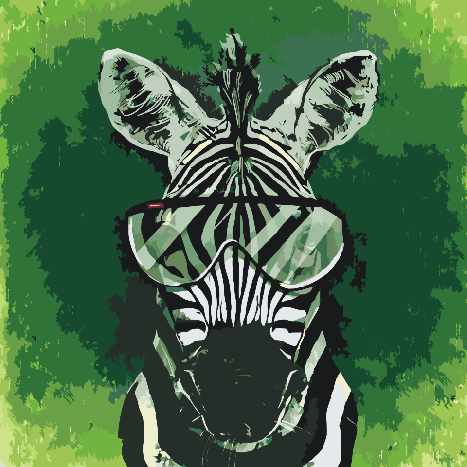Paint by number - Zebra med briller