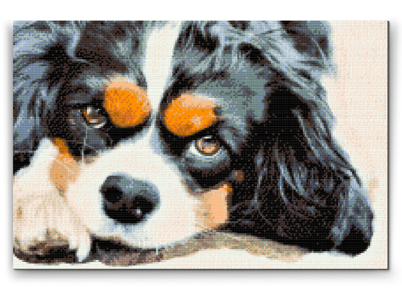 Diamond Paint - Thougtful Dog