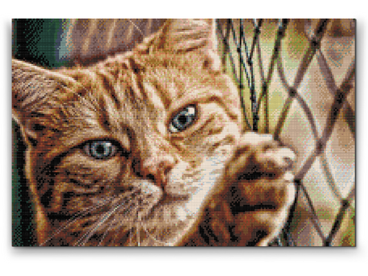 Diamond Paint - Kat på hegnet