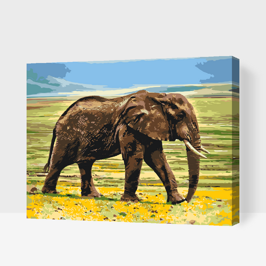Paint by number - Safari-elefant