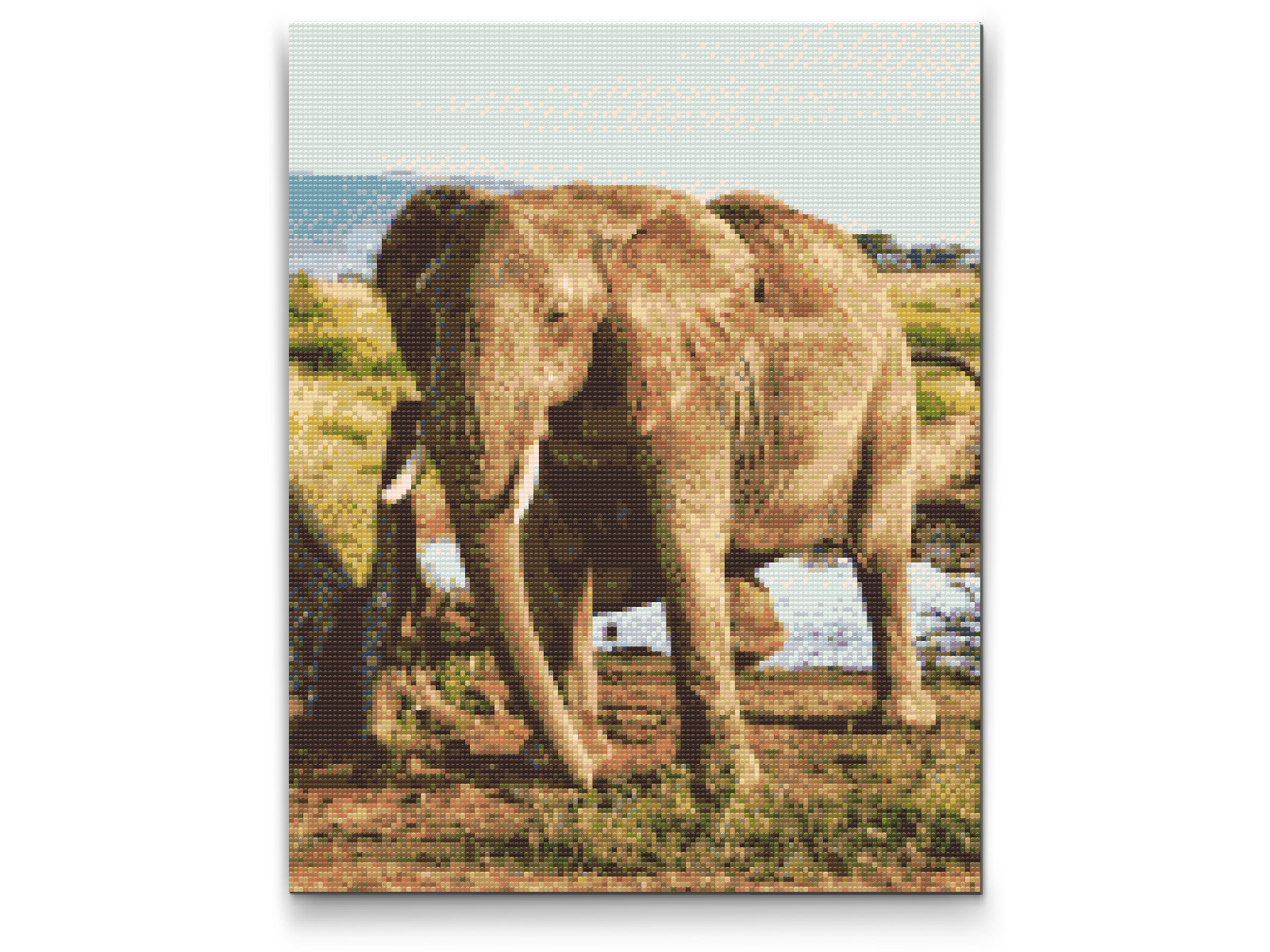 Diamond Paint - Safari - Elefant