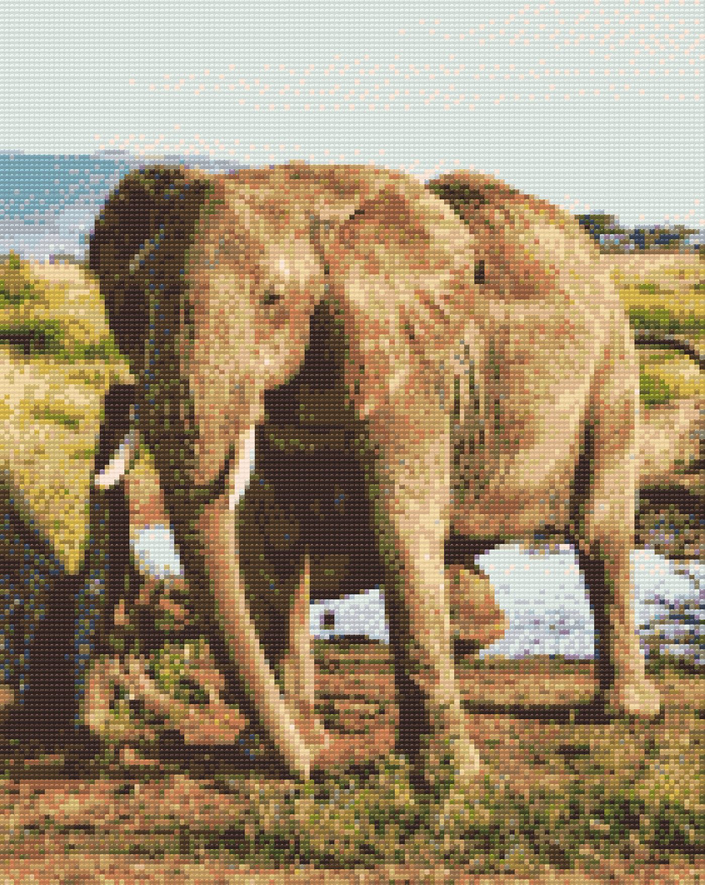 Diamond Paint - Safari - Elefant