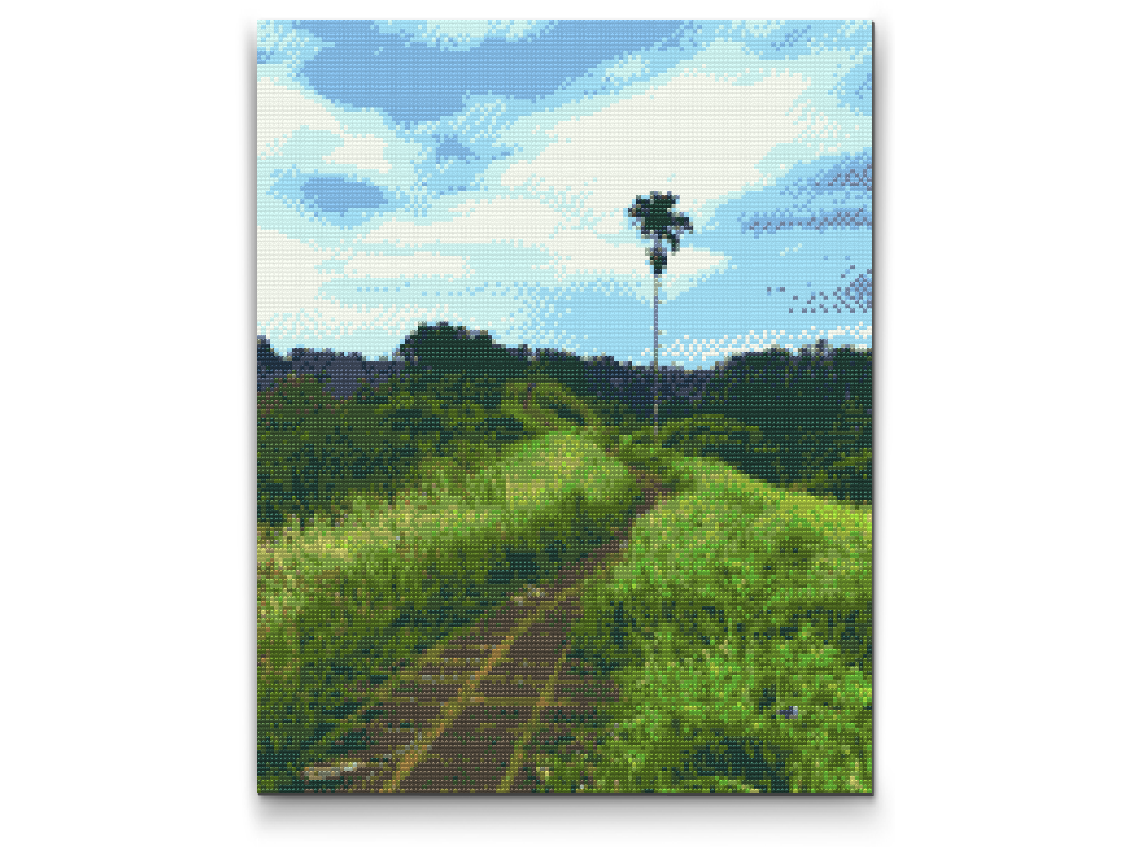Diamond Paint - Bali Risvandring