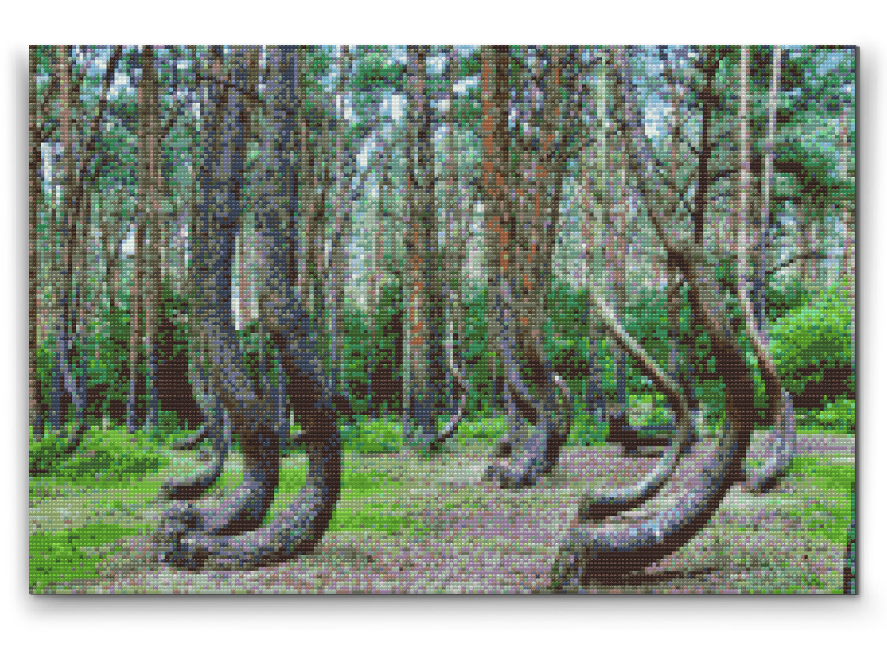 Diamond Paint - Kroget Skov i Polen