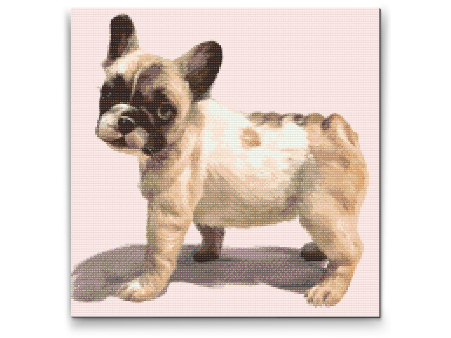 Diamond Paint - Fransk bulldog