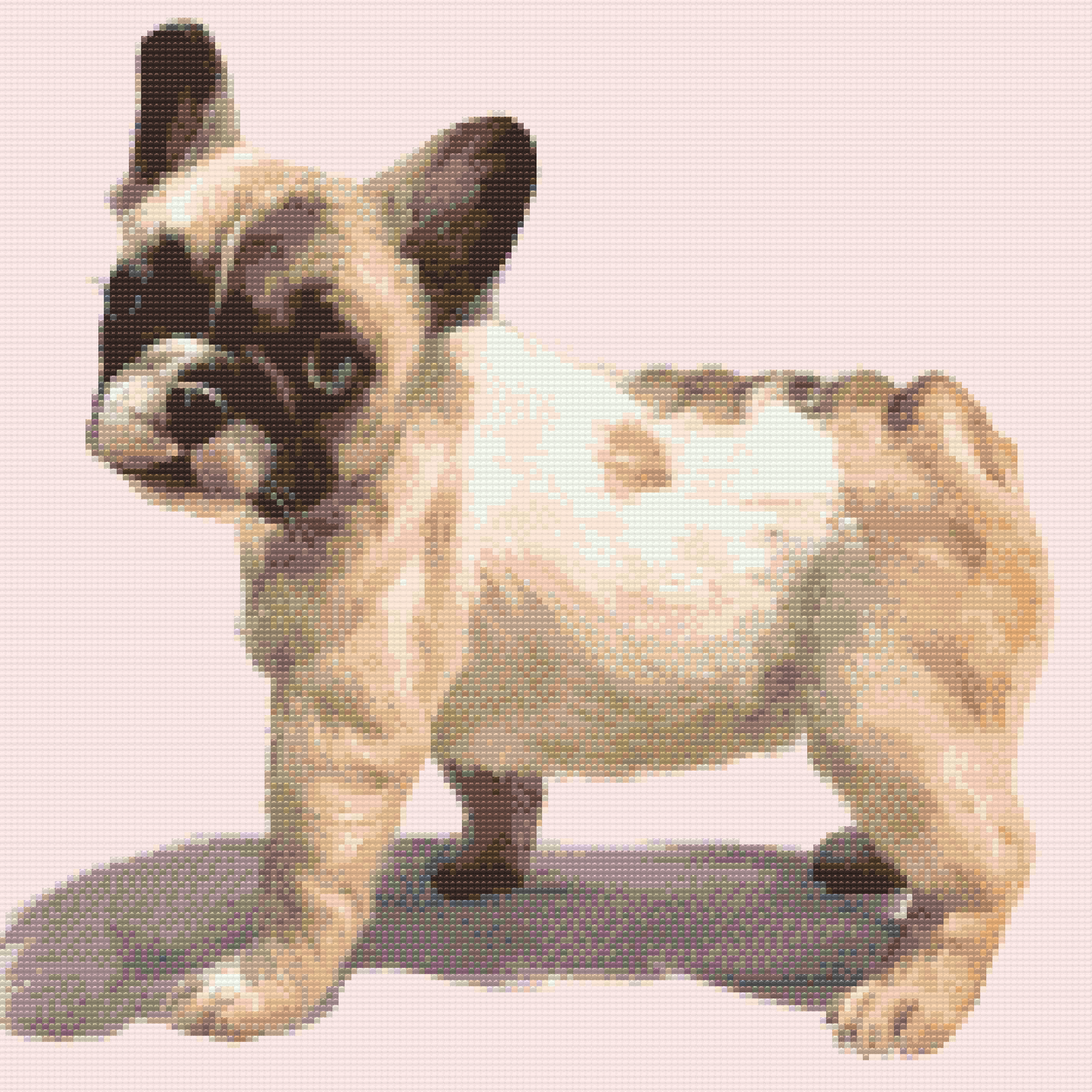Diamond Paint - Fransk bulldog