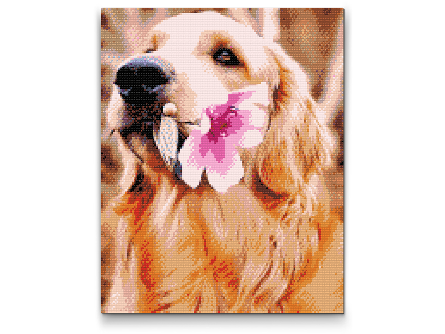 Diamond Paint - Labrador med blomst