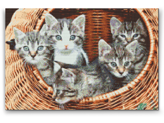 Diamond Paint - Katte i kurven