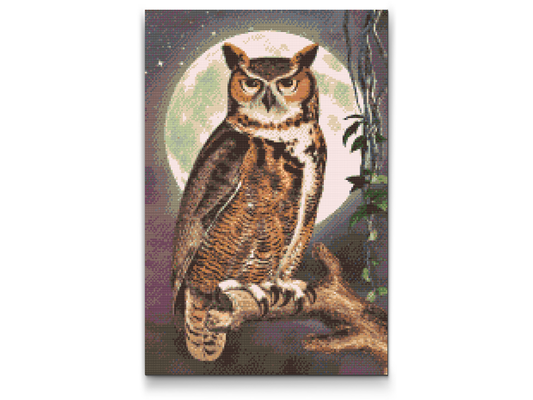 Diamond Paint - Wise Owl