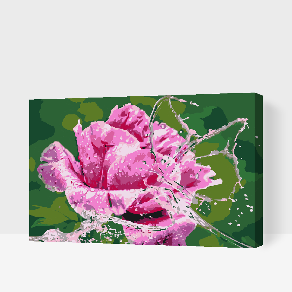 Paint by number - Rose og Sommerfugl lavet af vanddråber