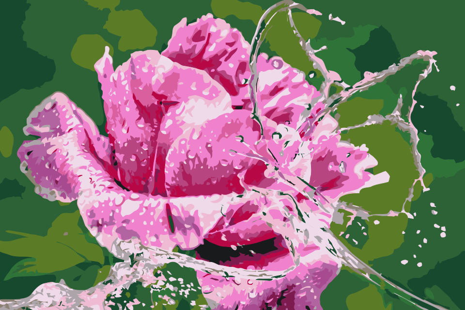 Paint by number - Rose og Sommerfugl lavet af vanddråber