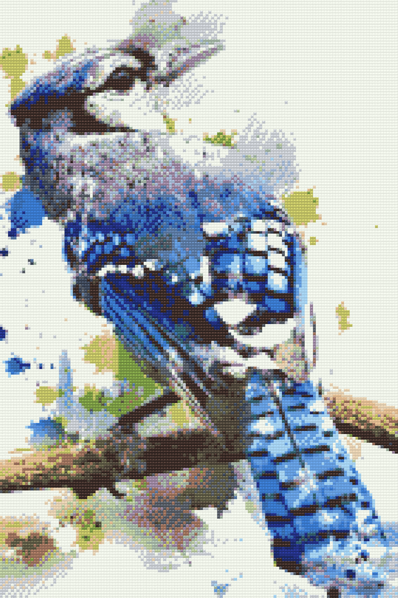 Diamond Paint - Cyanocitta