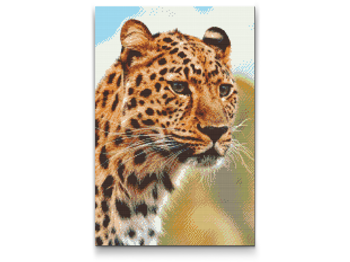 Diamond Paint - Leopardjagtudsigt