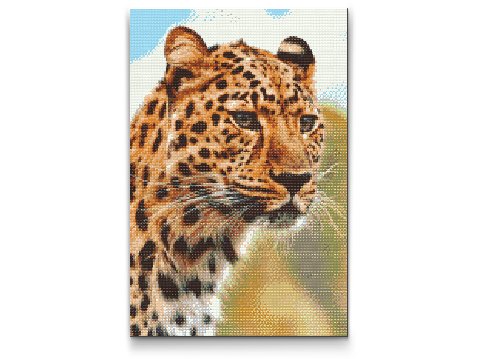 Diamond Paint - Leopardjagtudsigt