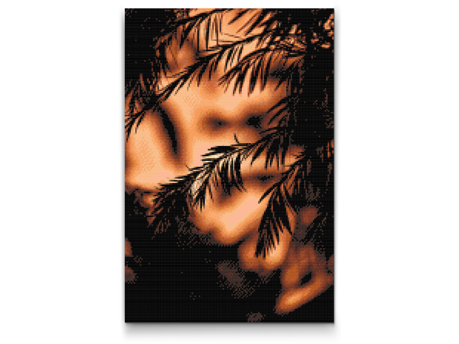 Diamond Paint - Solnedgangens silhuet