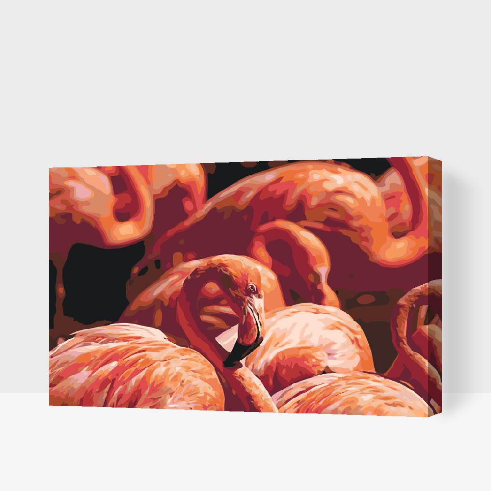 Paint by number - Flamingos 2
