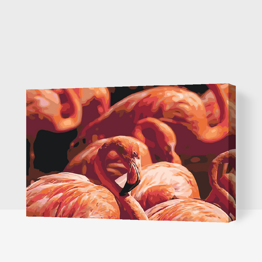Paint by number - Flamingos 2