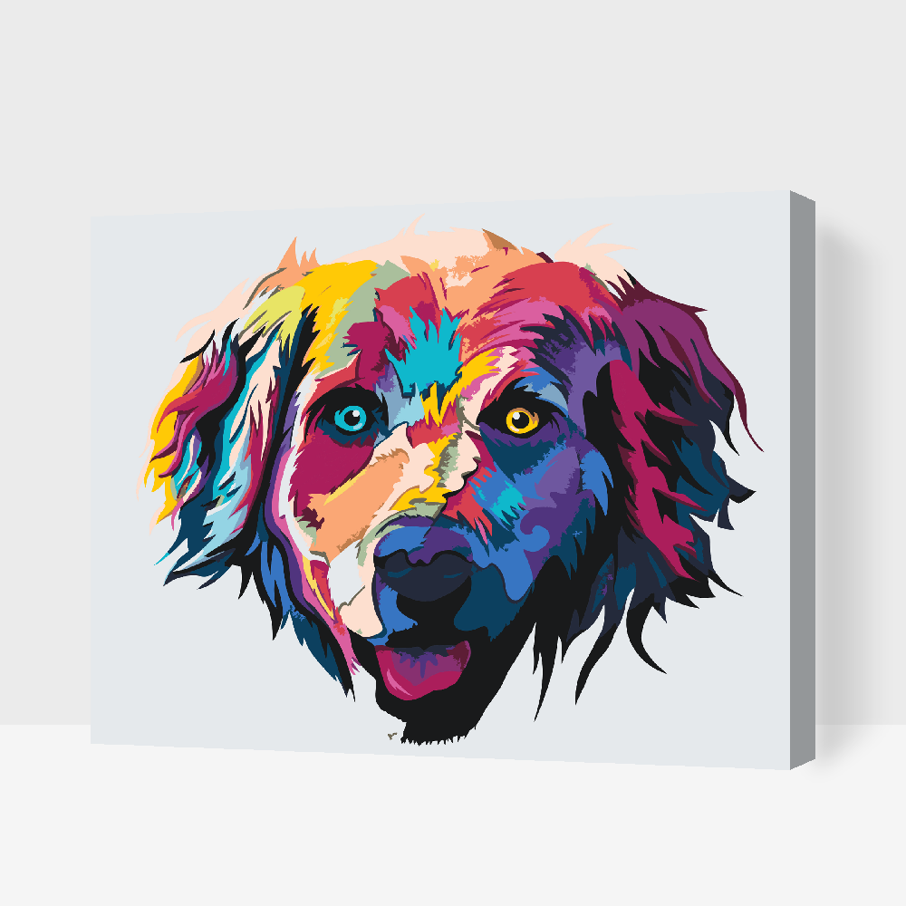 Paint by number - Farverig Retriever