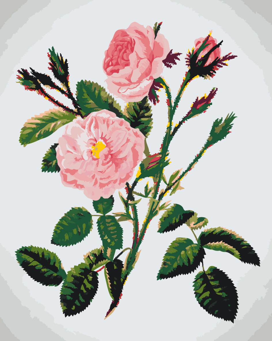 Paint by number - Vilde lyserøde roser