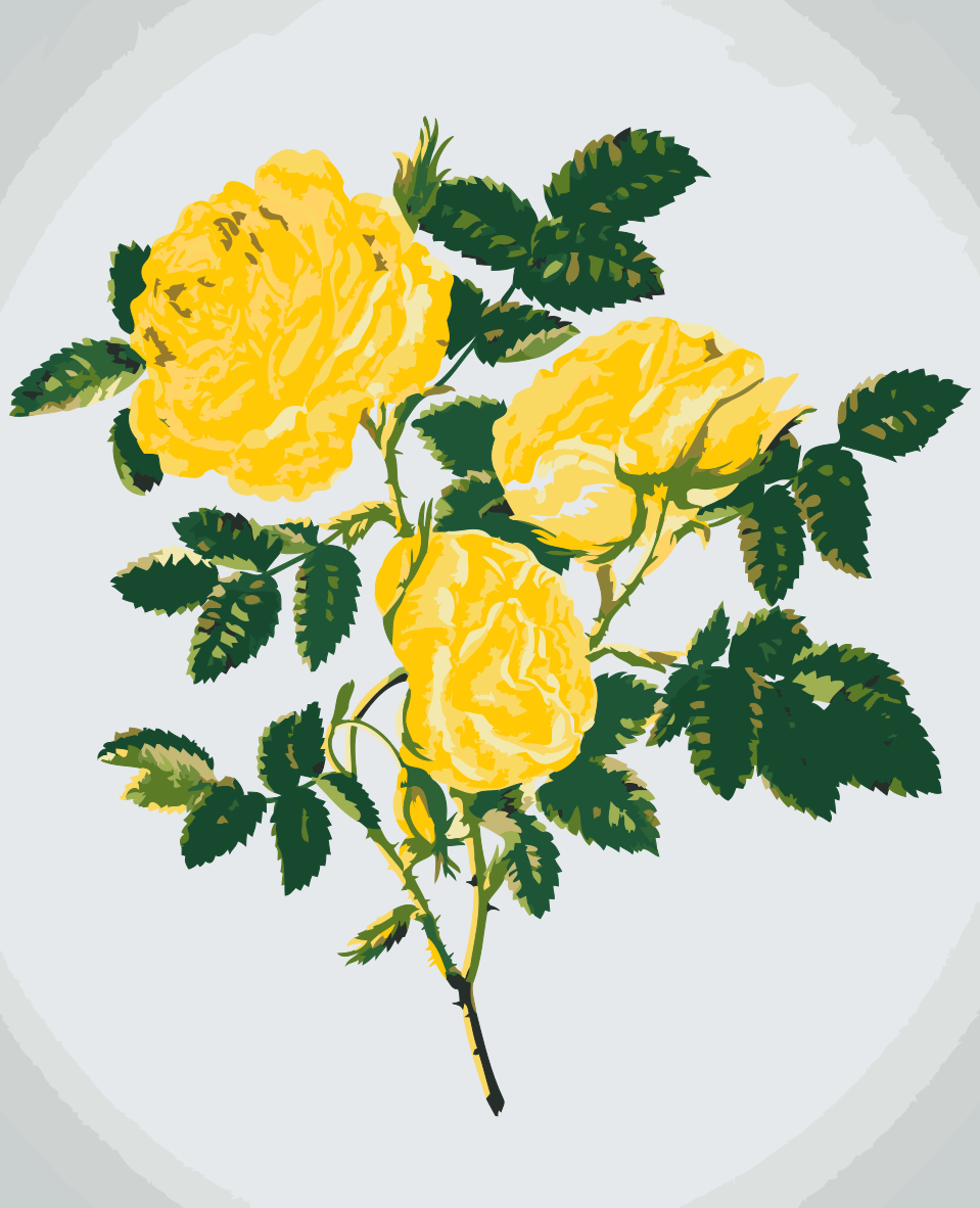 Paint by number - Vilde gule roser