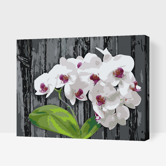 Paint by number - Hvid Orkidé