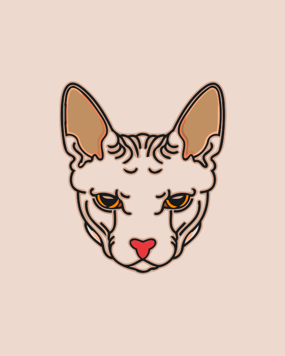 Paint by number - Cats Head