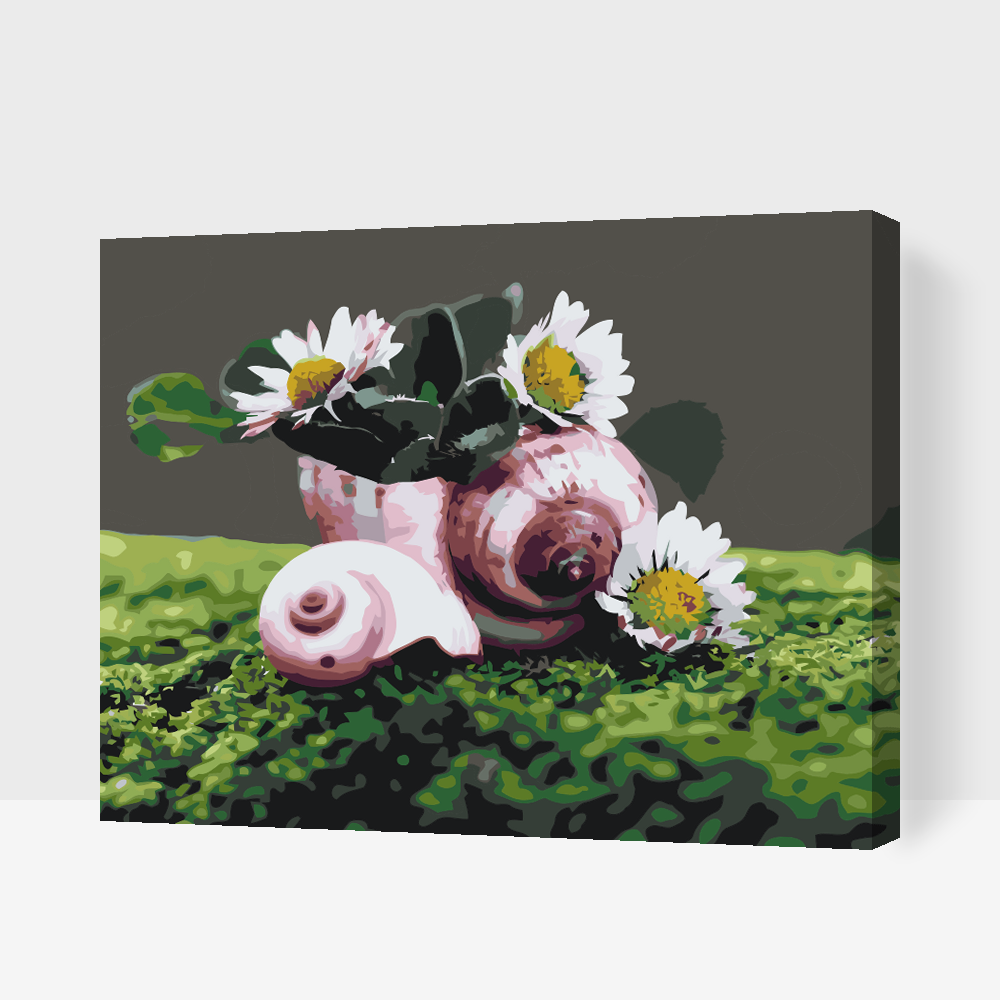 Paint by number - Margueritter i konkylien